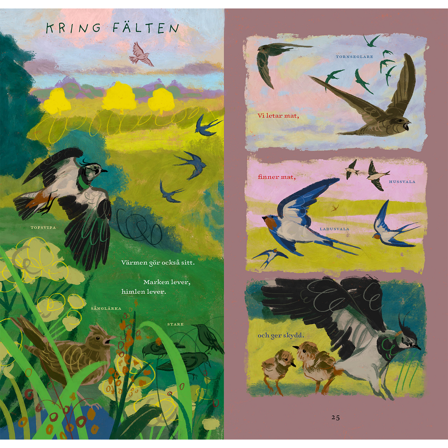 Vi är fåglar : en bok om att vara fågel bland fjädrar, ägg och kvitterbuskar