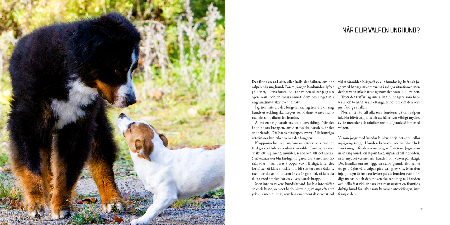 Valpen & Unghunden – Teamwork för en följsam och trygg hund