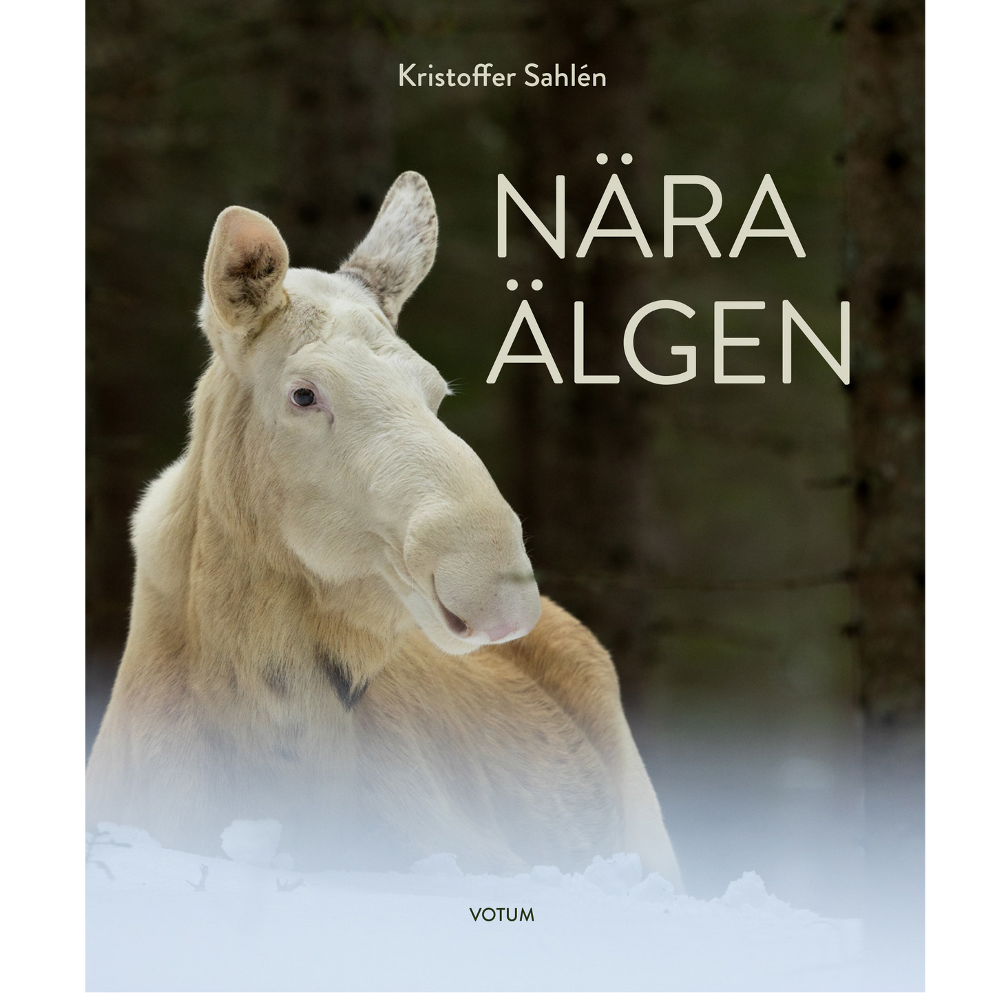 Nära älgen