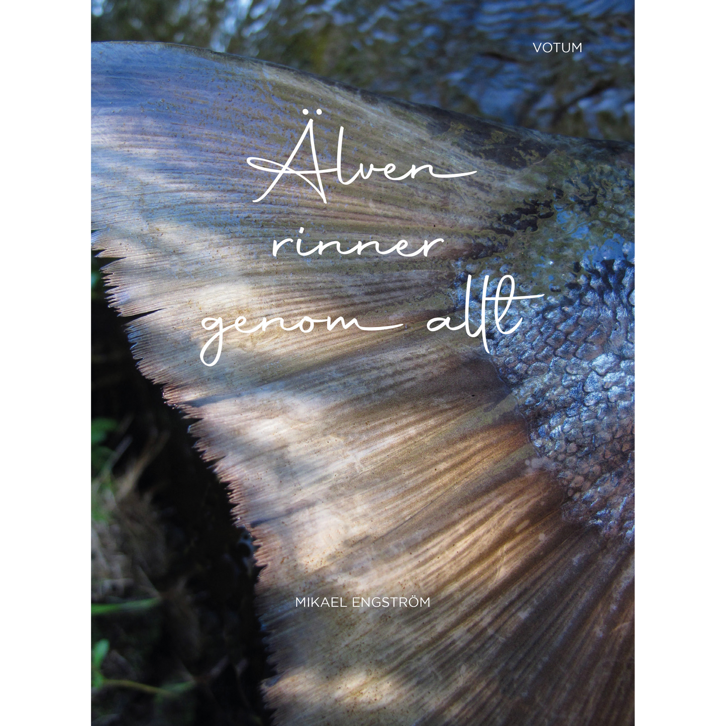 Älven rinner genom allt