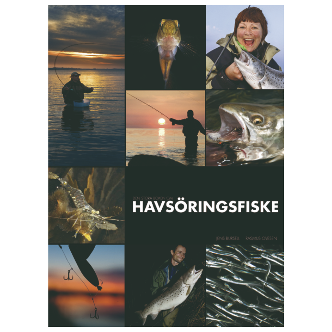 Den stora boken om HAVSÖRINGSFISKE