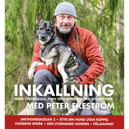 Inkallning från ståndskall, drev och andra svåra situationer