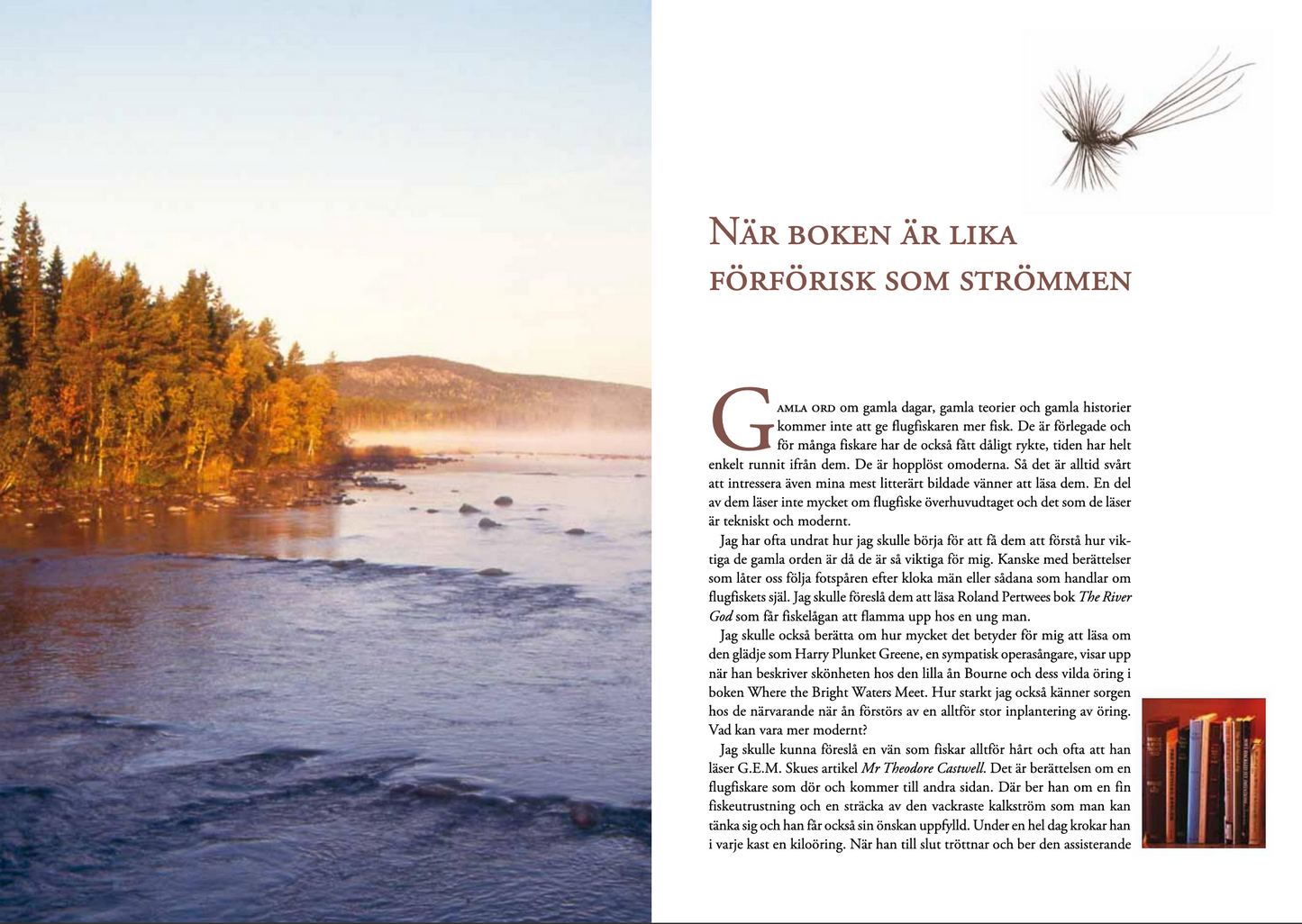 Flugfiskets mästare