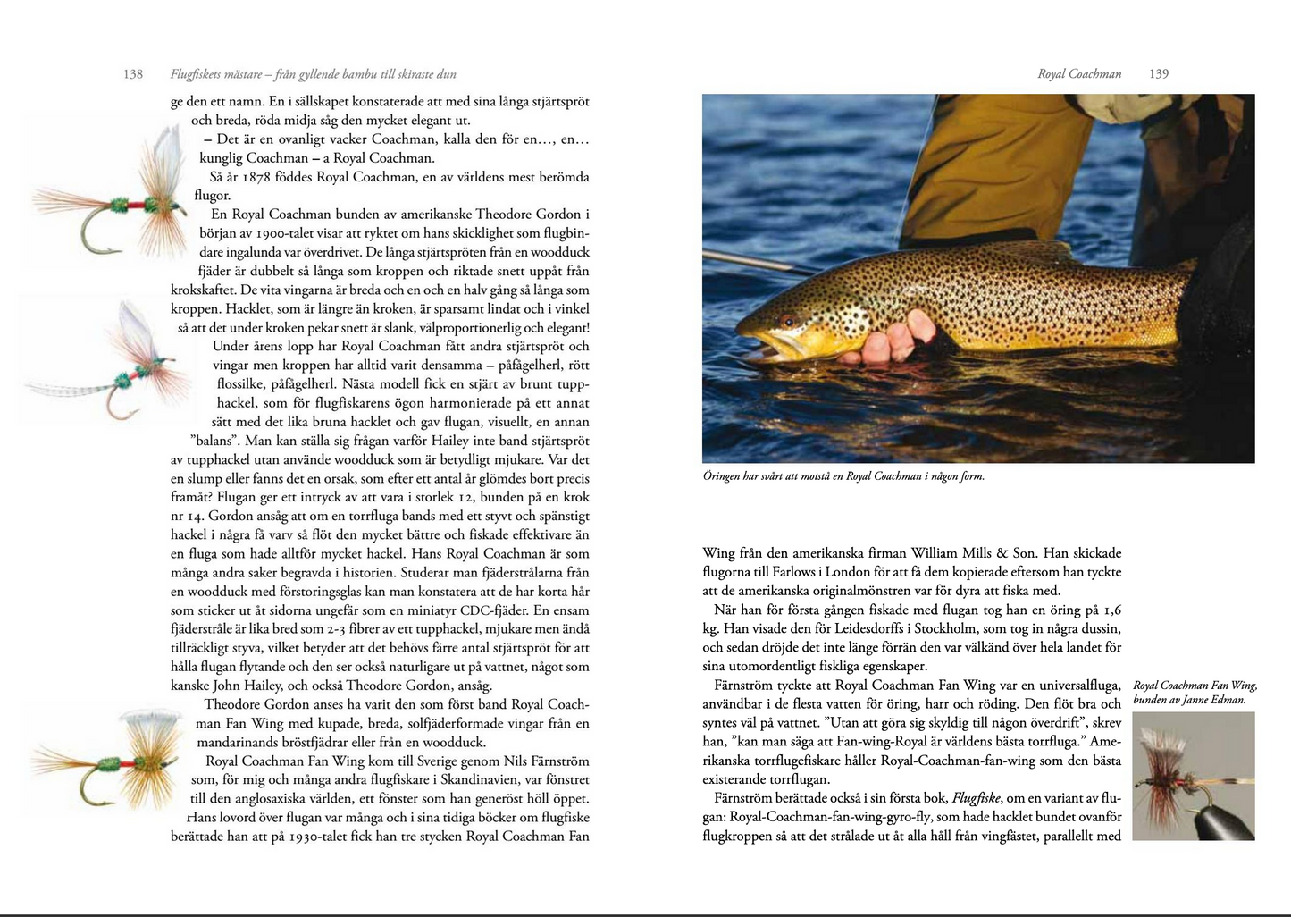 Flugfiskets mästare