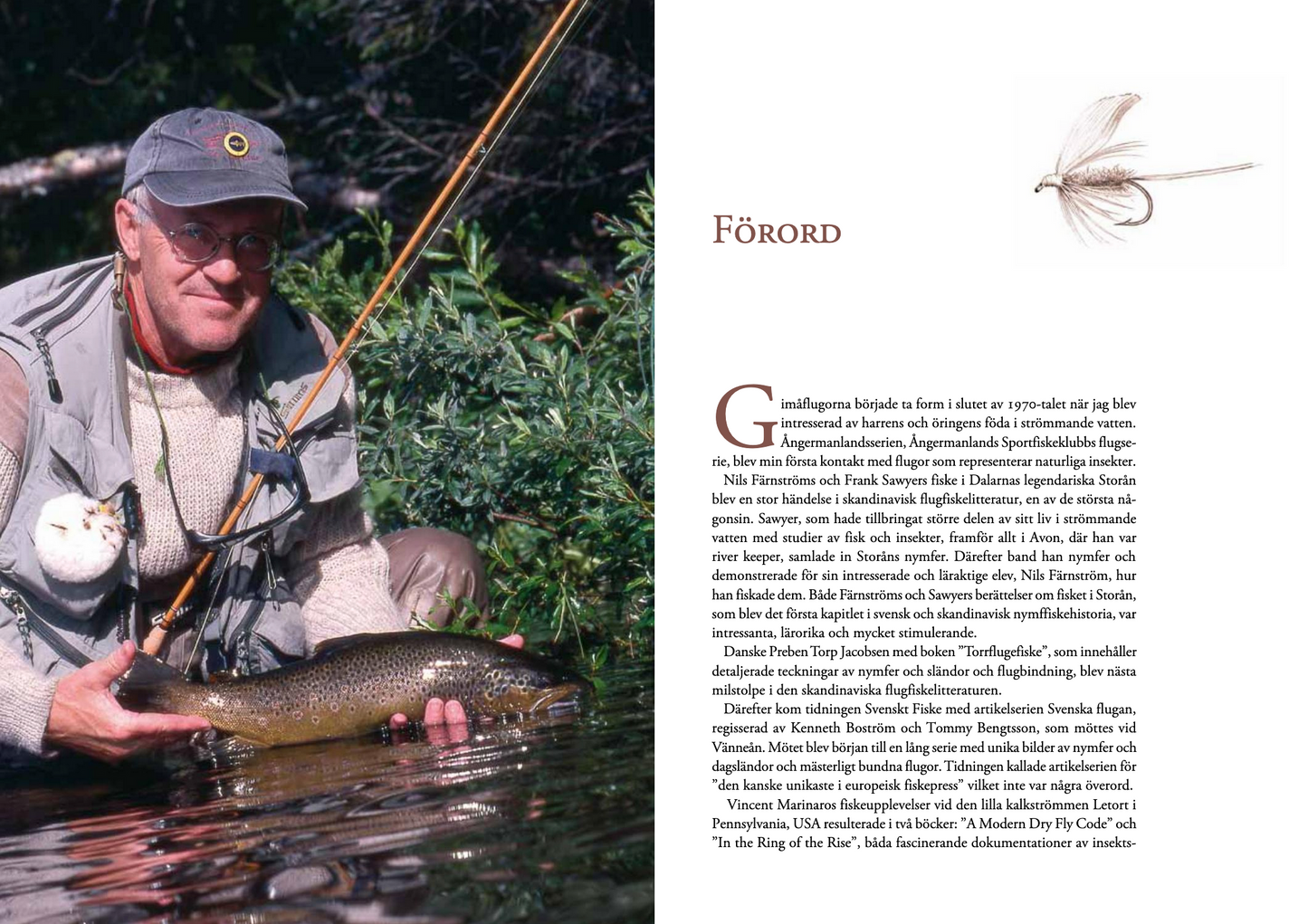 Gimåflugorna – flugor i det nordiska ljuset