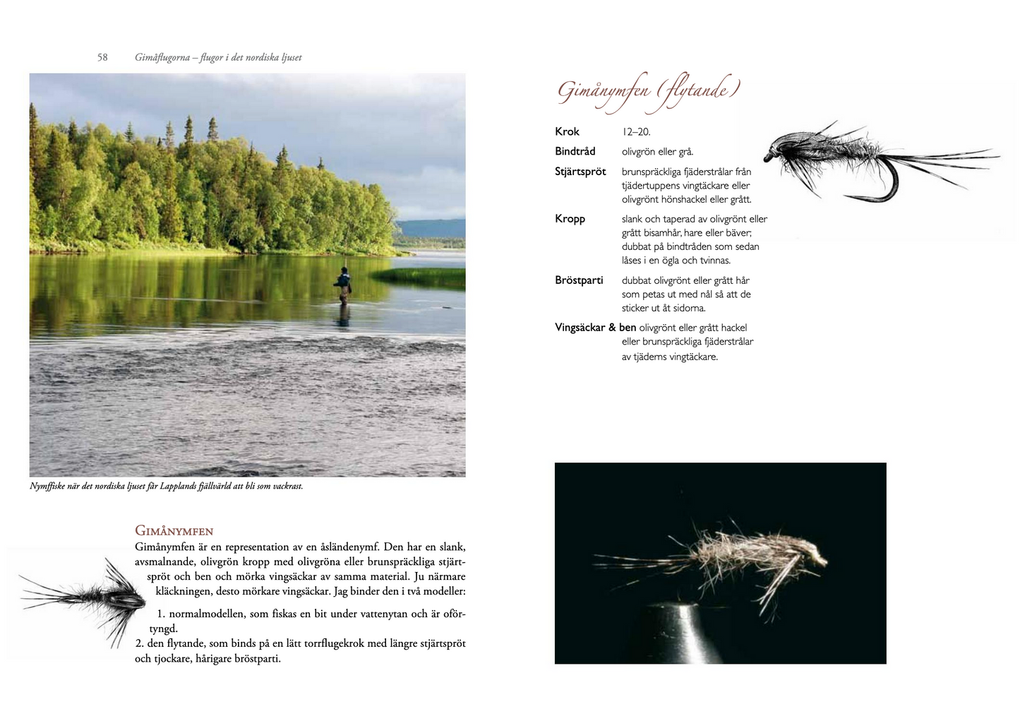 Gimåflugorna – flugor i det nordiska ljuset