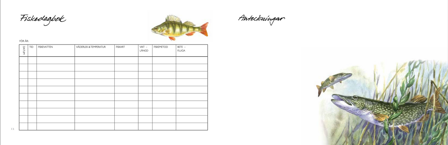 Fiskedagbok