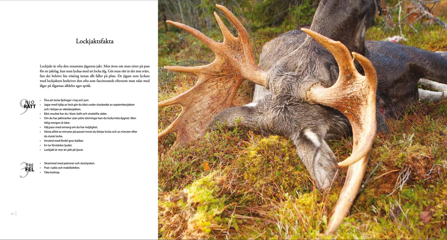 ÄLGJAKT 9 sätt att jaga älg