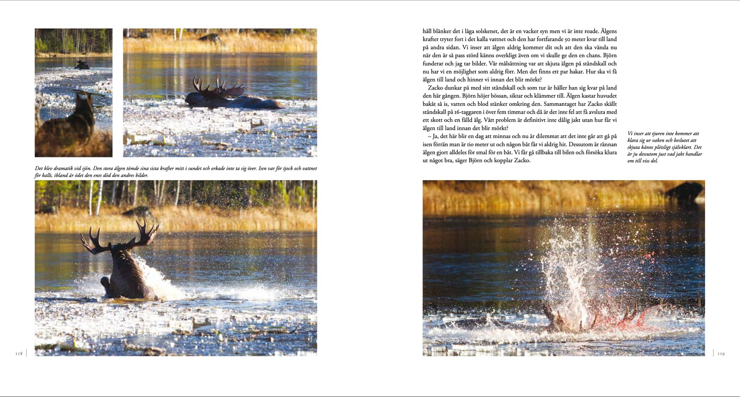 ÄLGJAKT 9 sätt att jaga älg