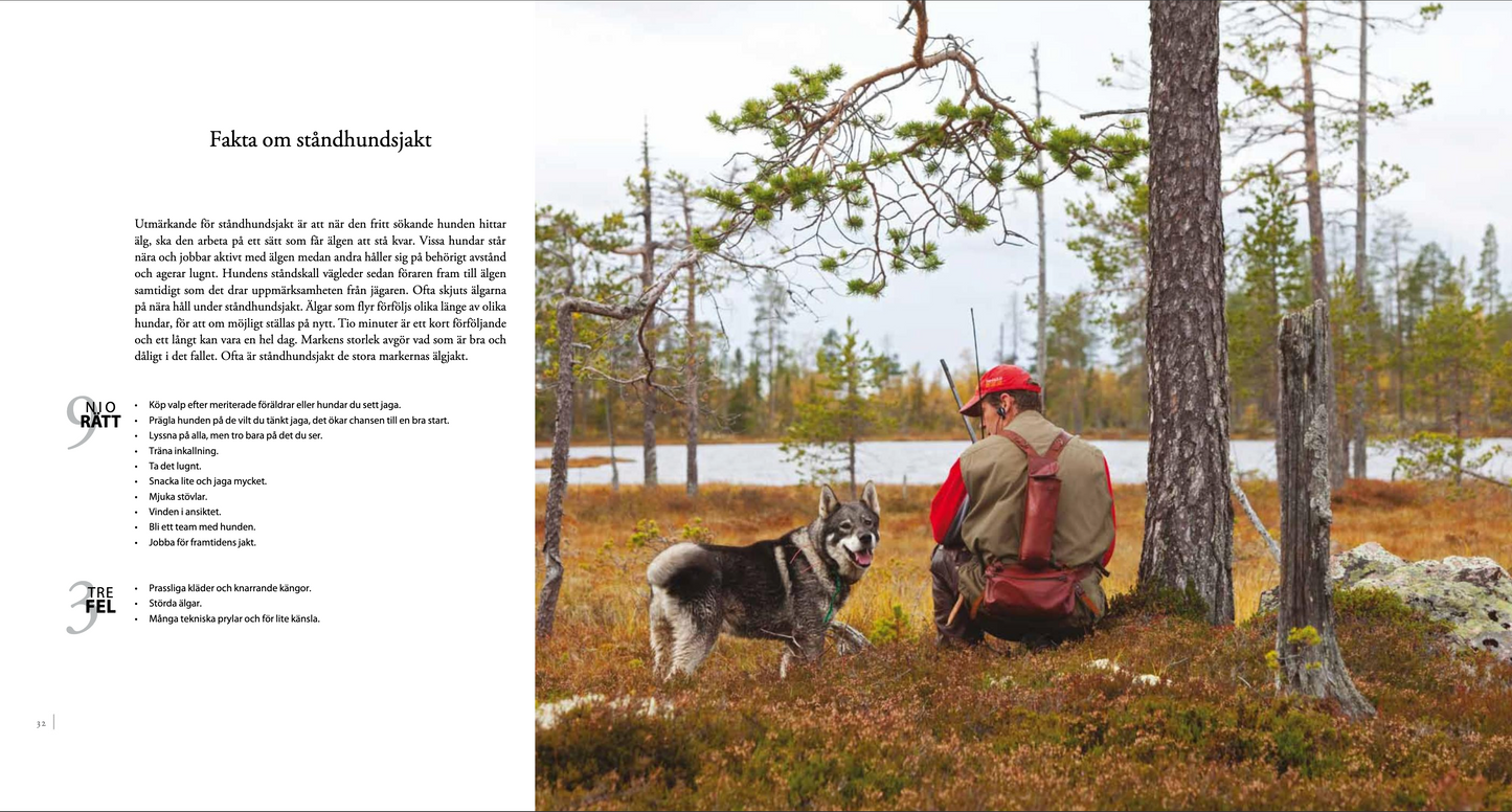 ÄLGJAKT 9 sätt att jaga älg