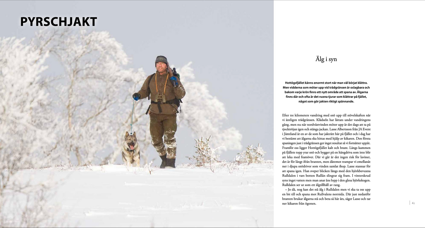 ÄLGJAKT 9 sätt att jaga älg