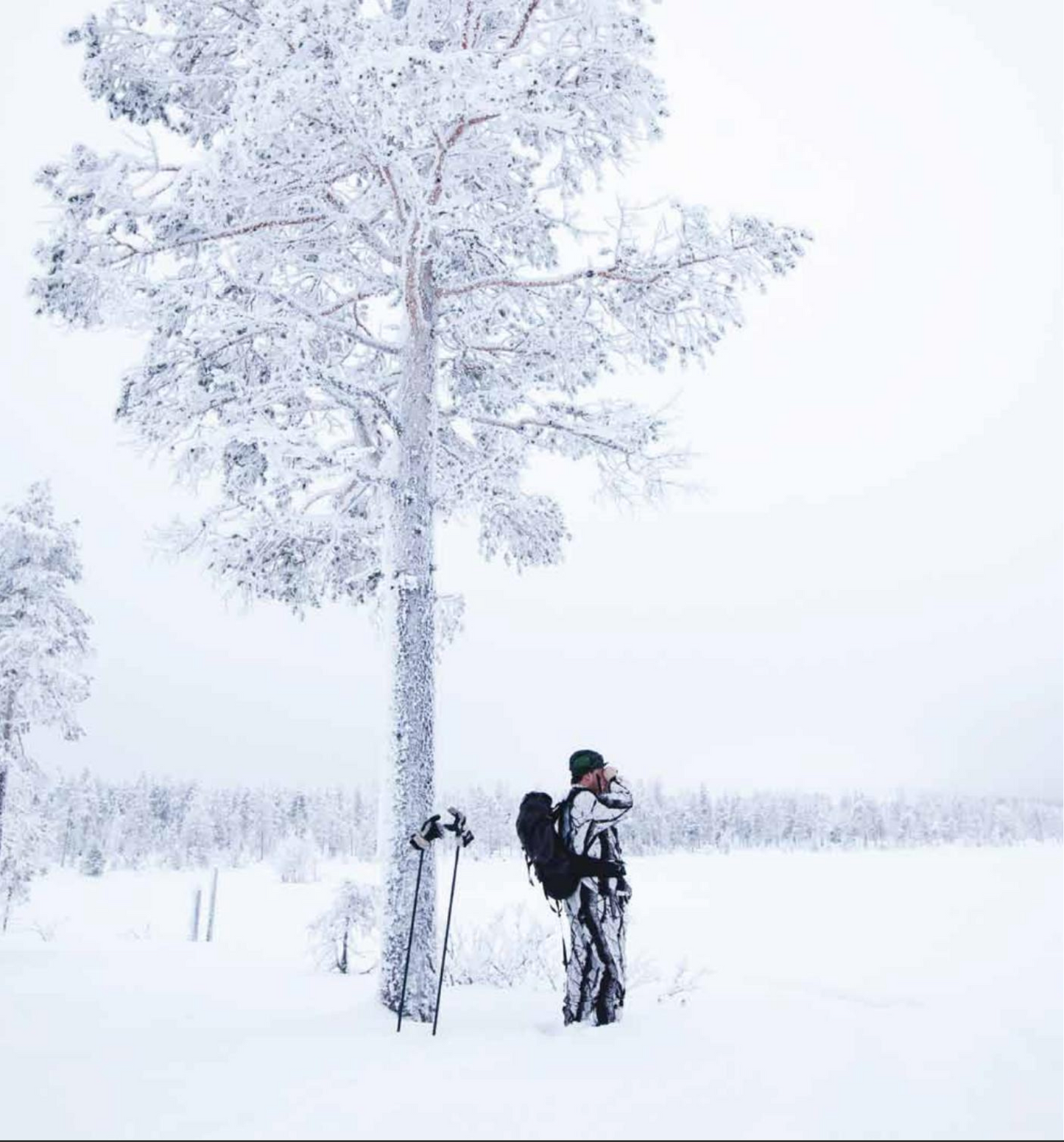 ÄLGJAKT 9 sätt att jaga älg