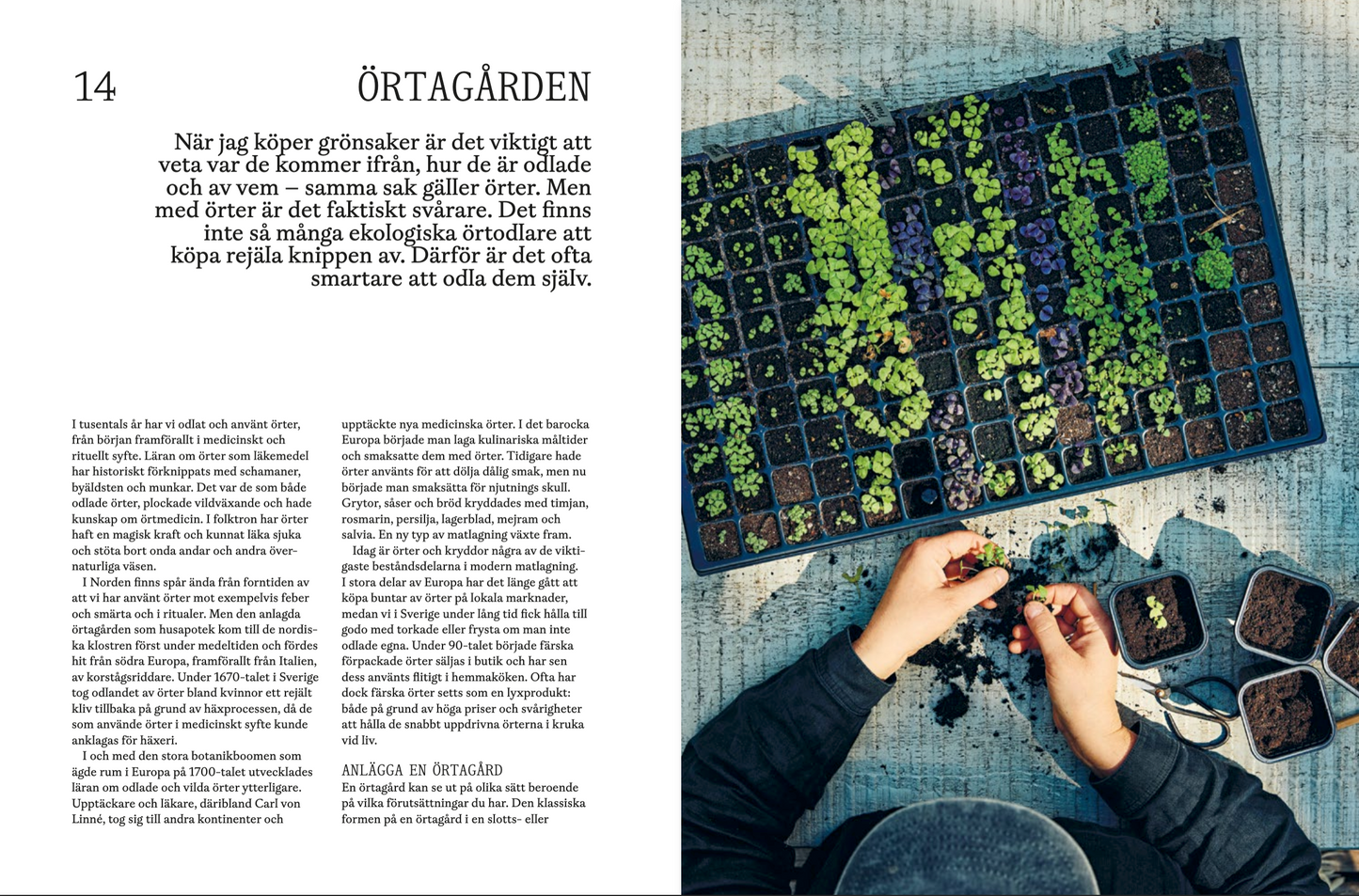 Örter : att odla och äta