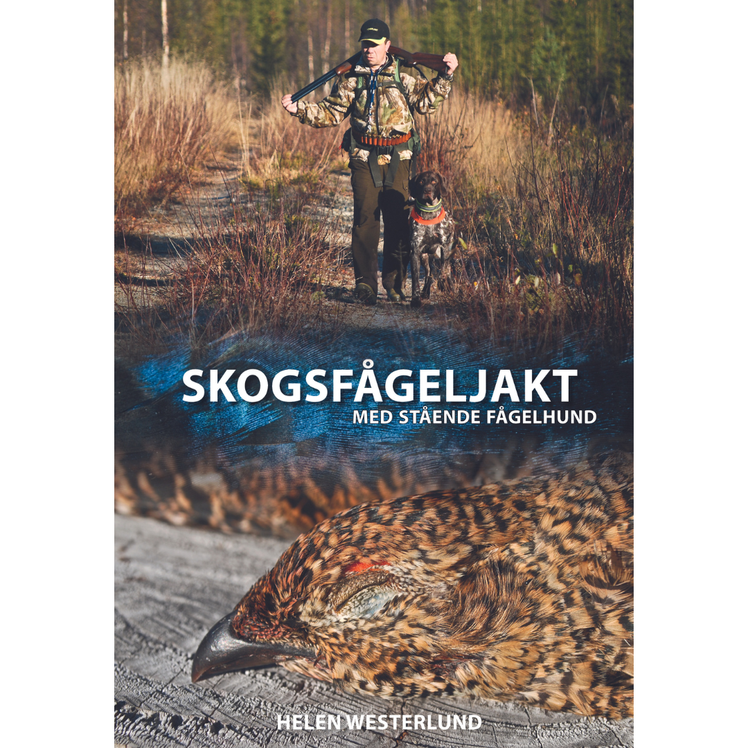 Skogsfågeljakt med stående fågelhund