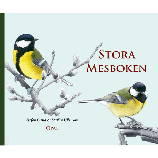 Stora mesboken