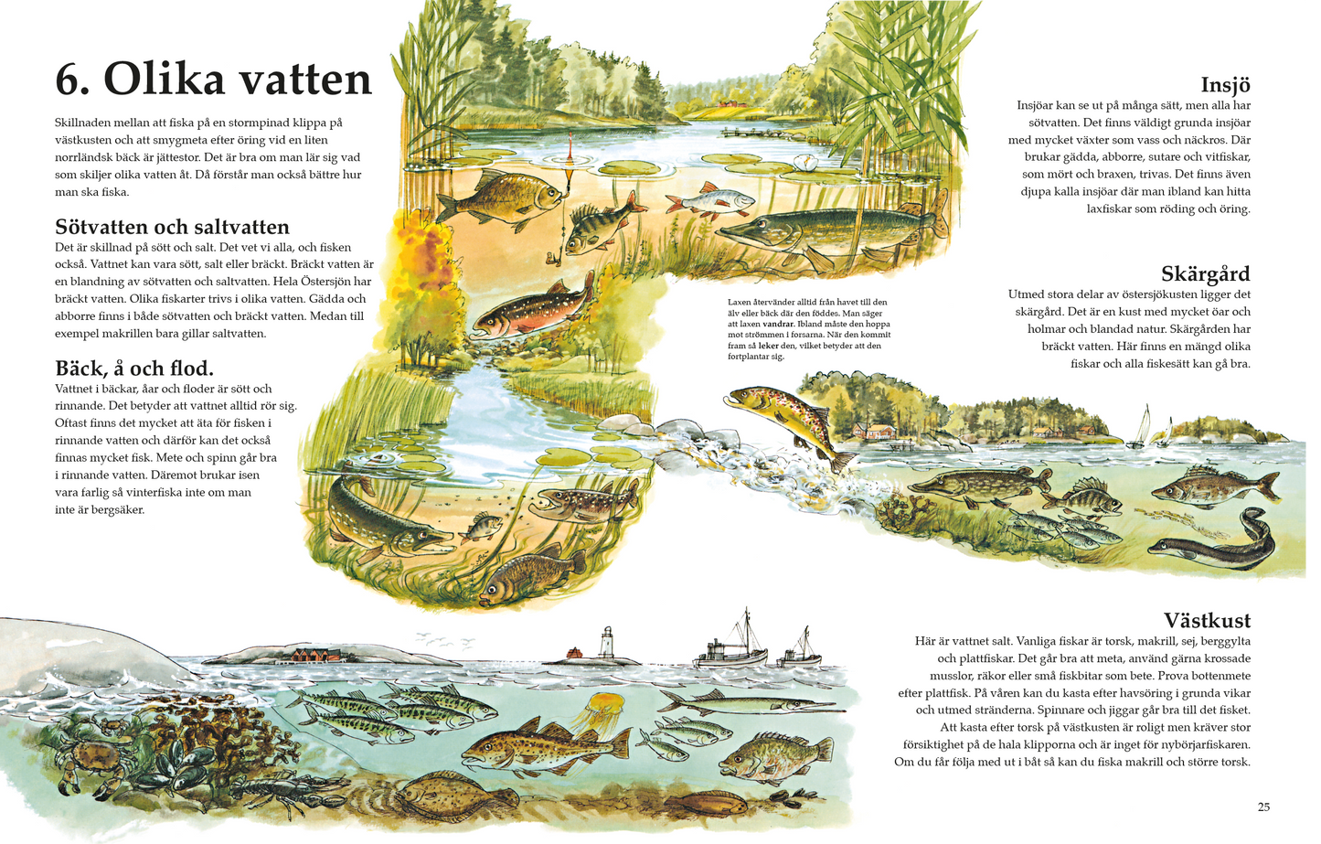 Storfiskarens nybörjarbok