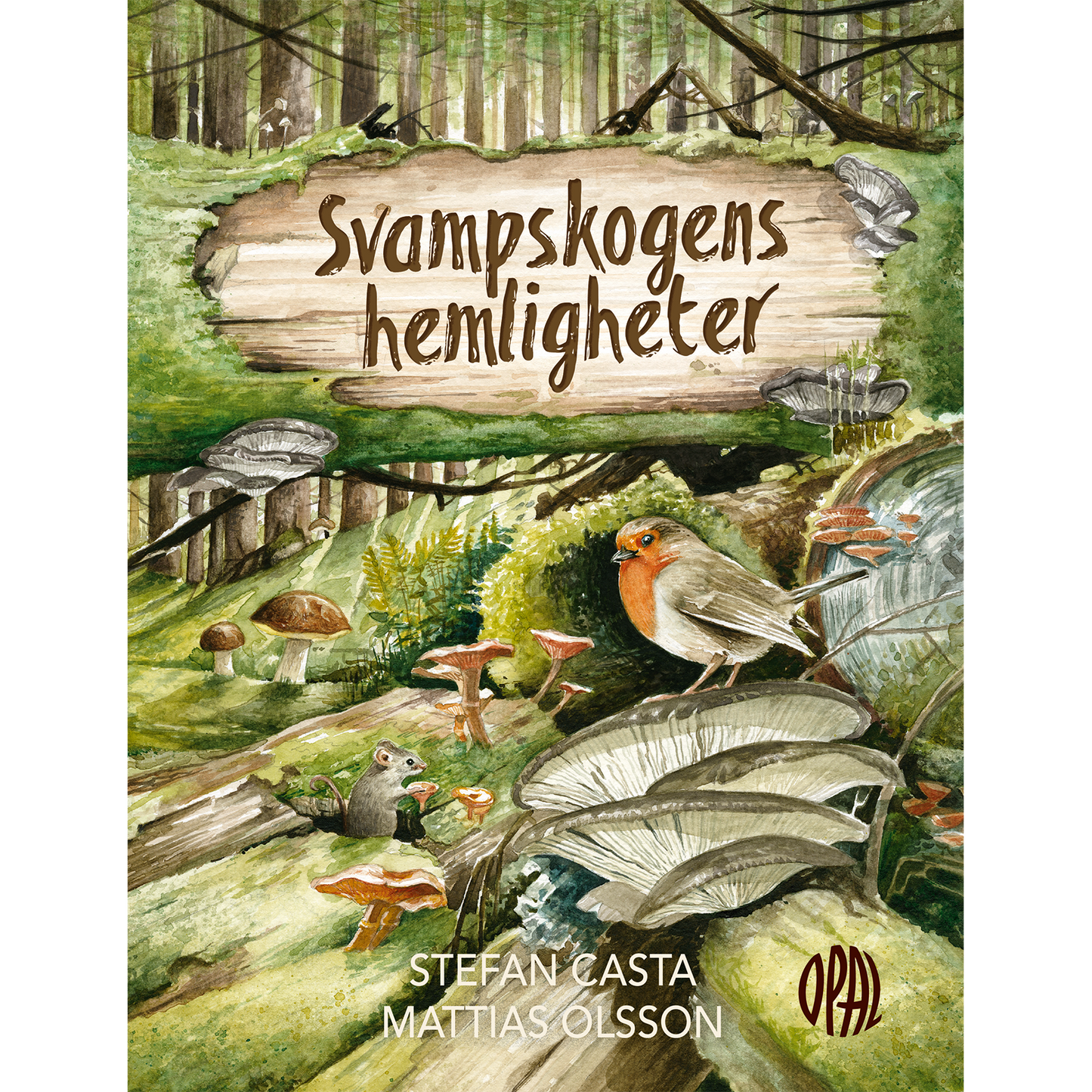 Svampskogens hemligheter