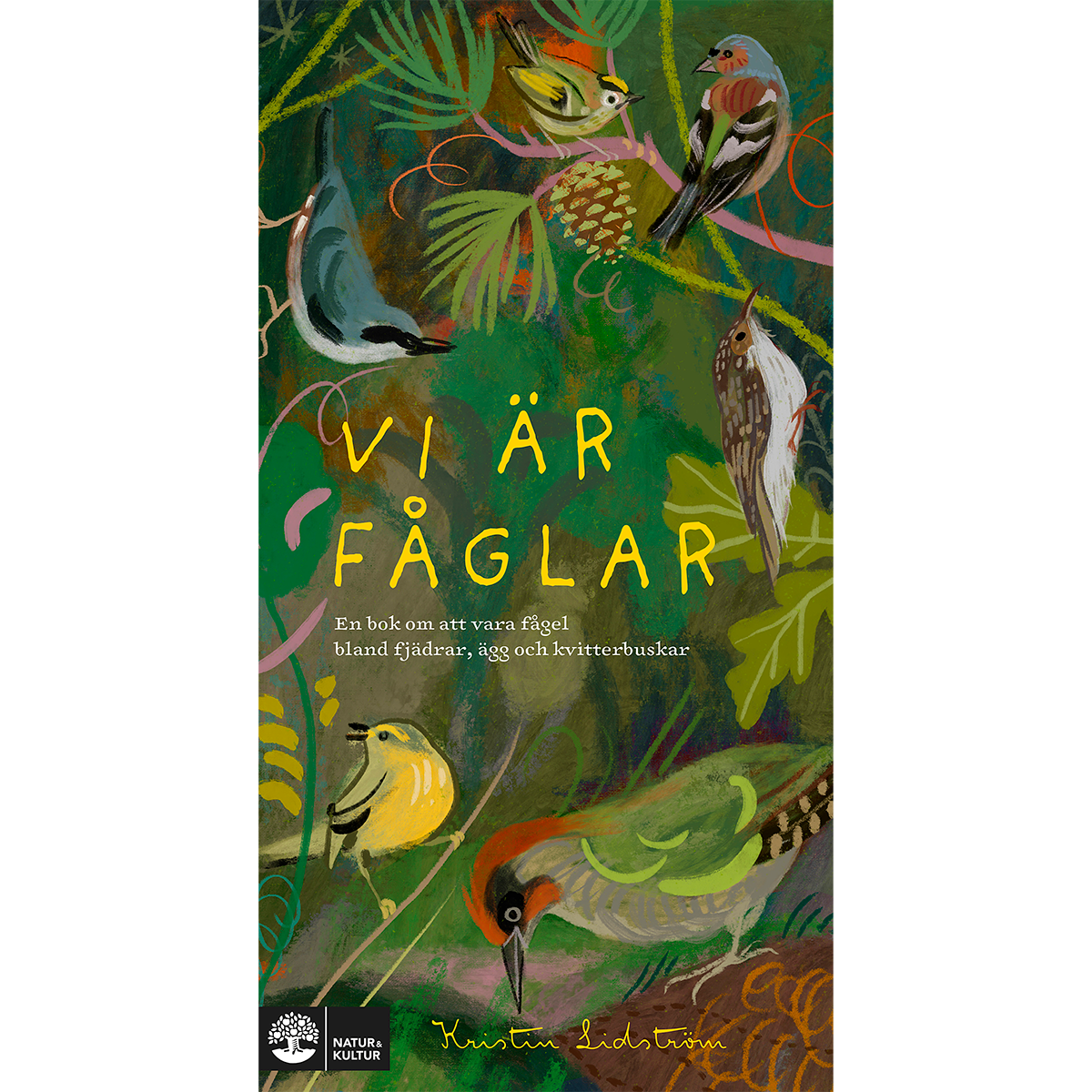 Vi är fåglar : en bok om att vara fågel bland fjädrar, ägg och kvitterbuskar