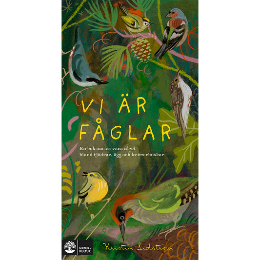 Vi är fåglar : en bok om att vara fågel bland fjädrar, ägg och kvitterbuskar