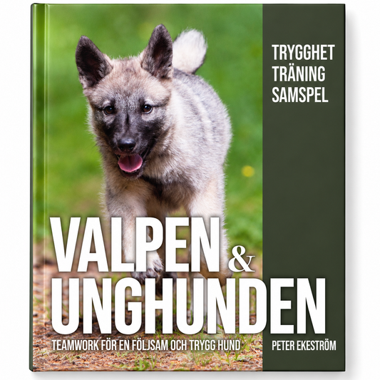 Valpen & Unghunden – Teamwork för en följsam och trygg hund