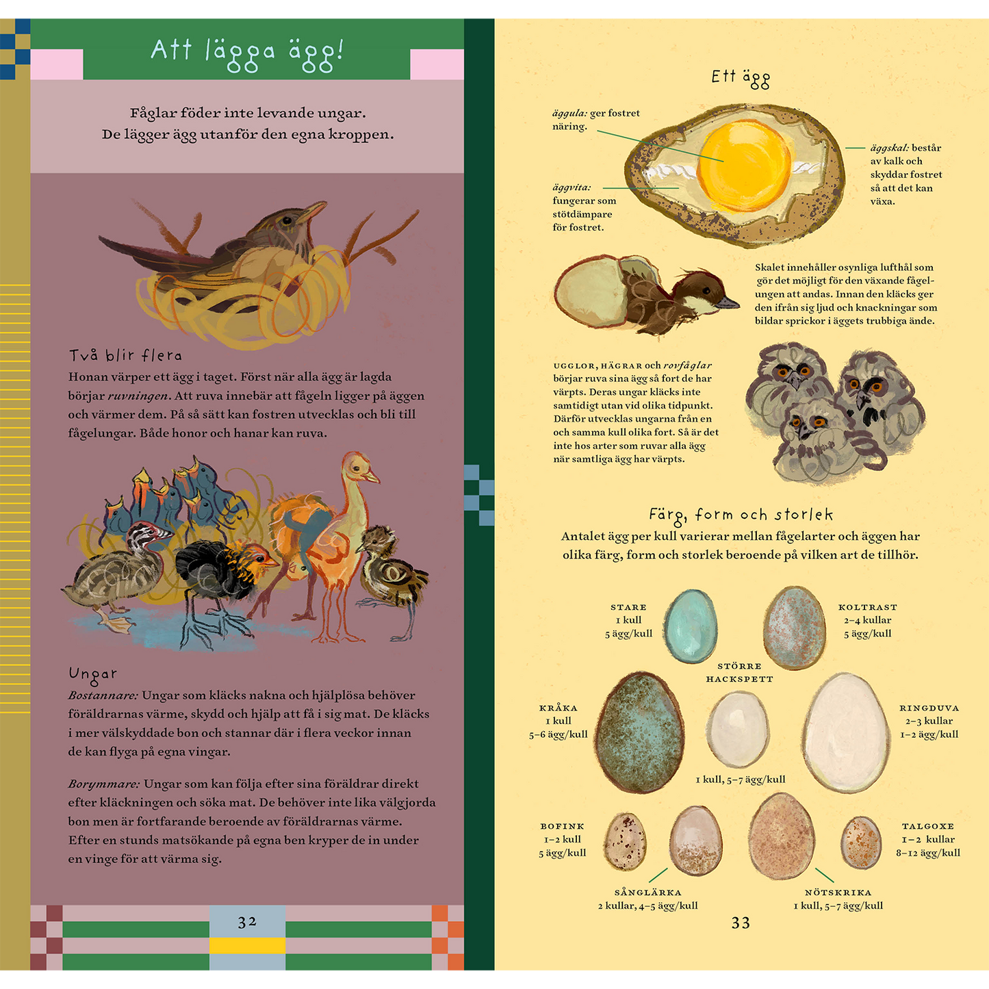 Vi är fåglar : en bok om att vara fågel bland fjädrar, ägg och kvitterbuskar