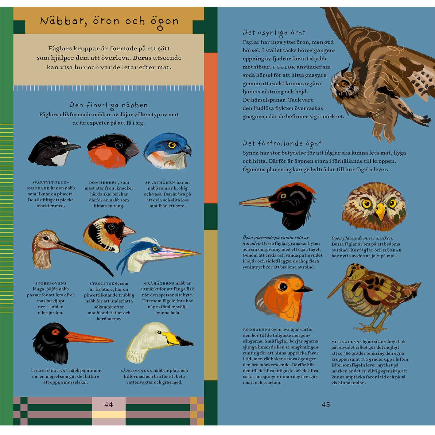 Vi är fåglar : en bok om att vara fågel bland fjädrar, ägg och kvitterbuskar