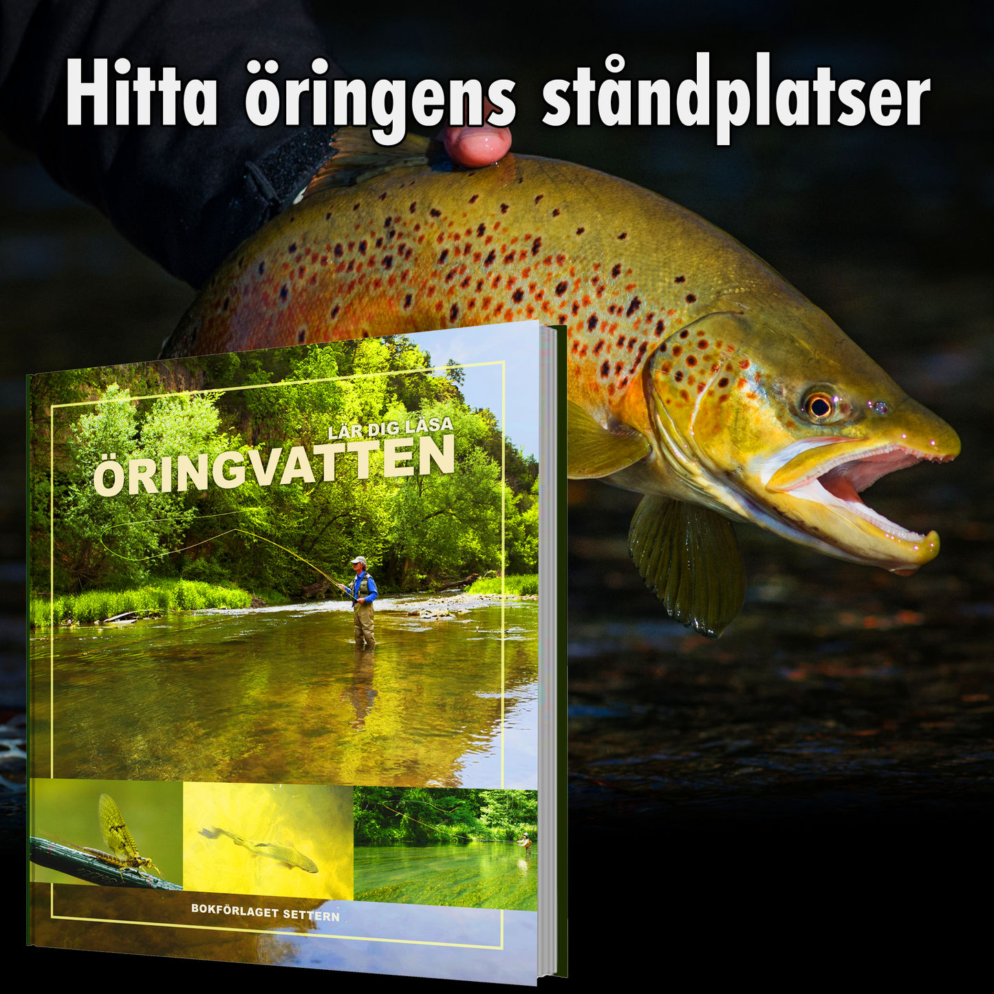 Lär dig läsa öringvatten