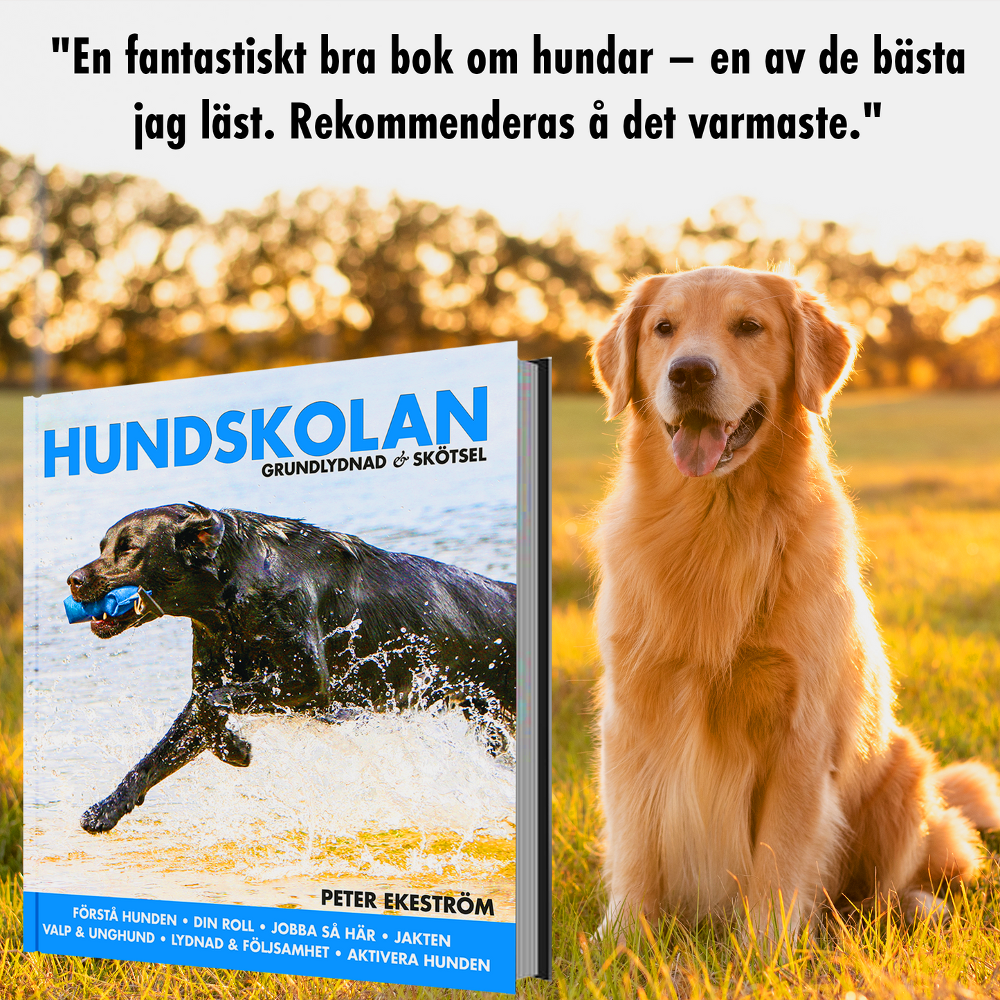 Hundskolan – Grundlydnad & Skötsel