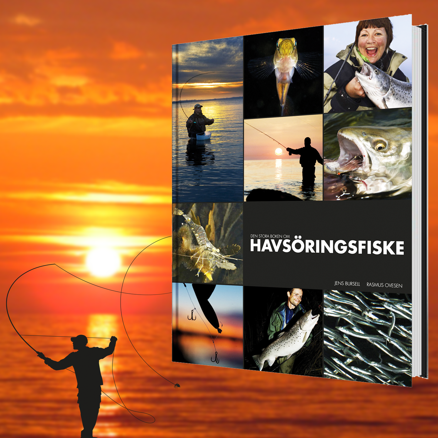 Den stora boken om HAVSÖRINGSFISKE