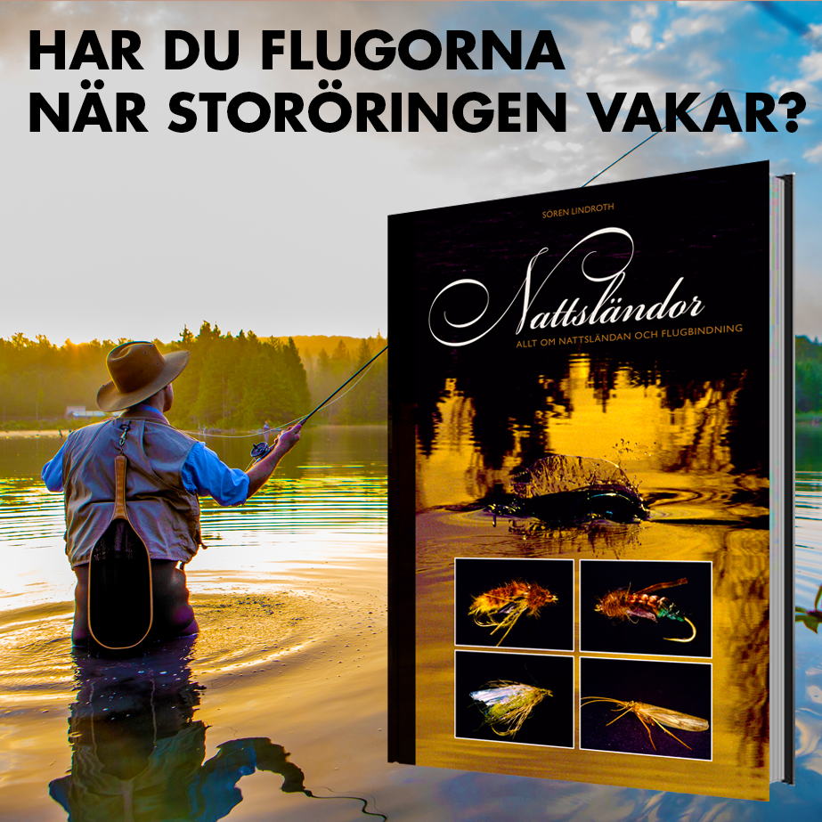 Nattsländor – flugfiske och flugbindning