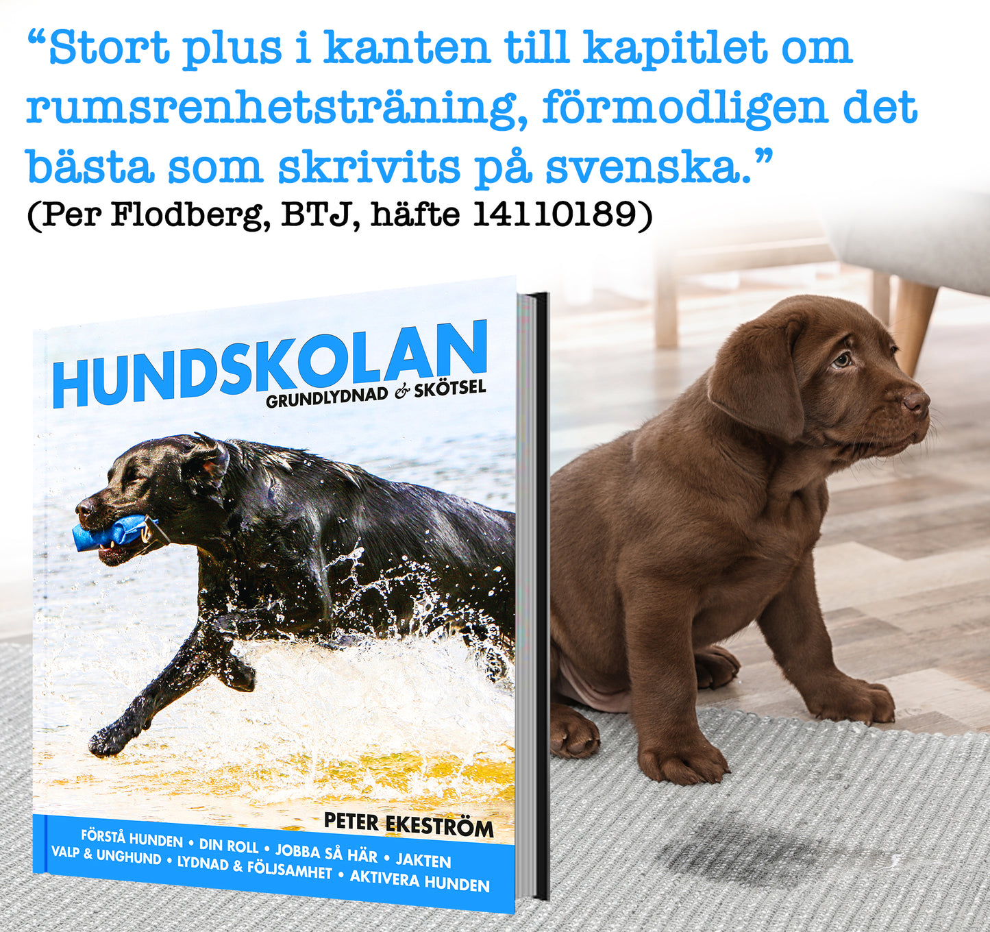 Hundskolan – Grundlydnad & Skötsel