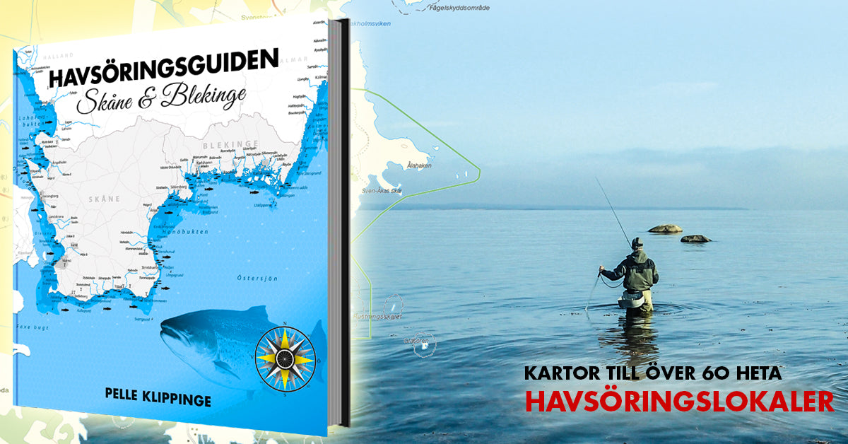 Havsöringsguiden Skåne – Blekinge