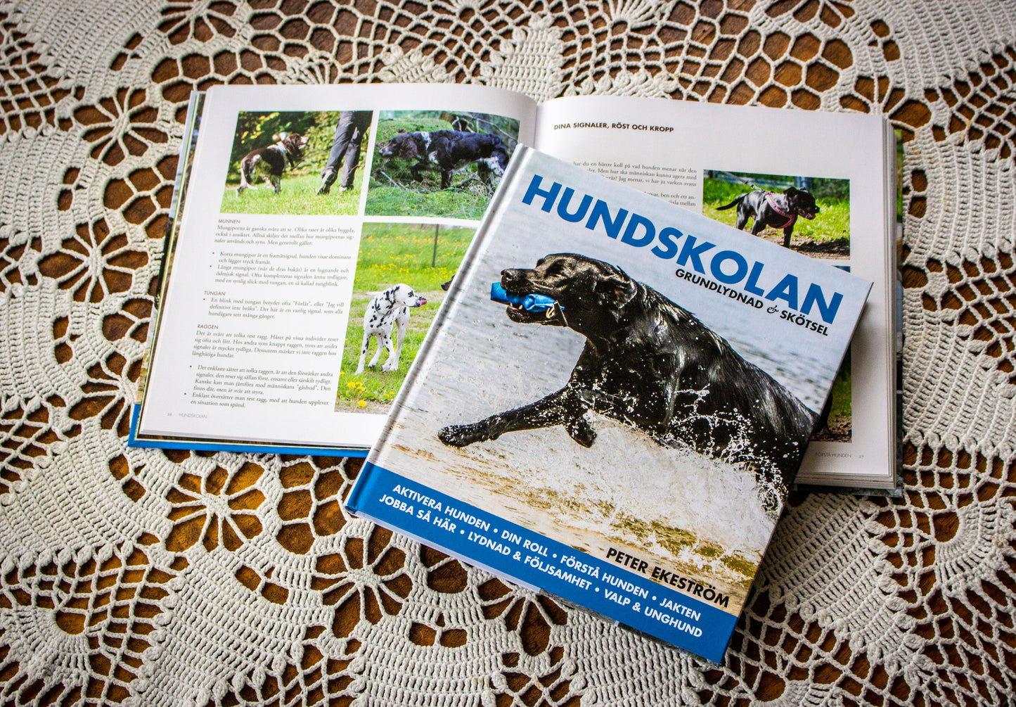 Hundskolan – Grundlydnad & Skötsel