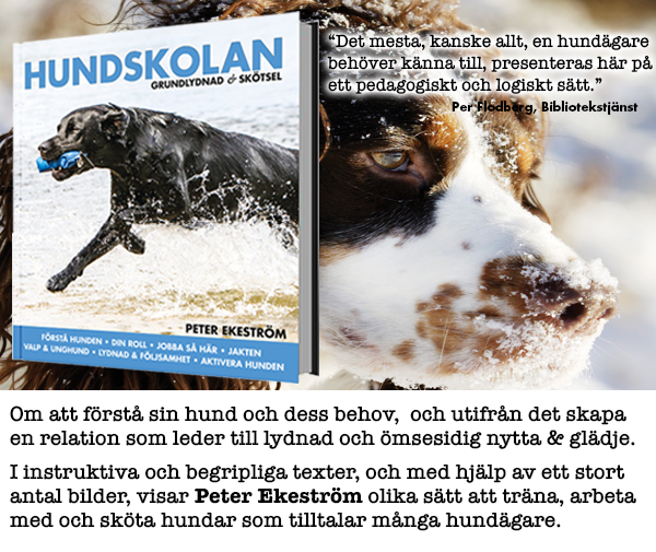 Hundskolan – Grundlydnad & Skötsel