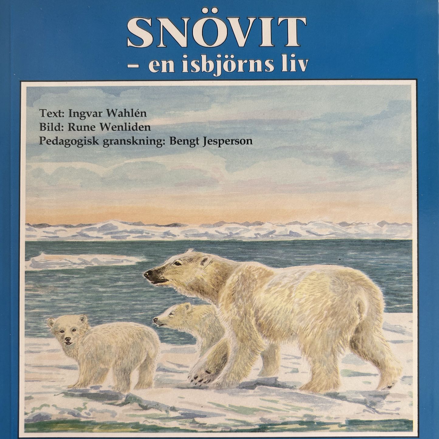 Snövit - en isbjörns liv