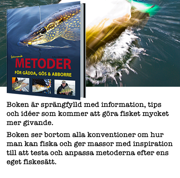 Spännande metoder för gädda, gös & abborre