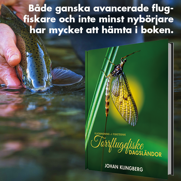 Torrflugefiske – Dagsländor