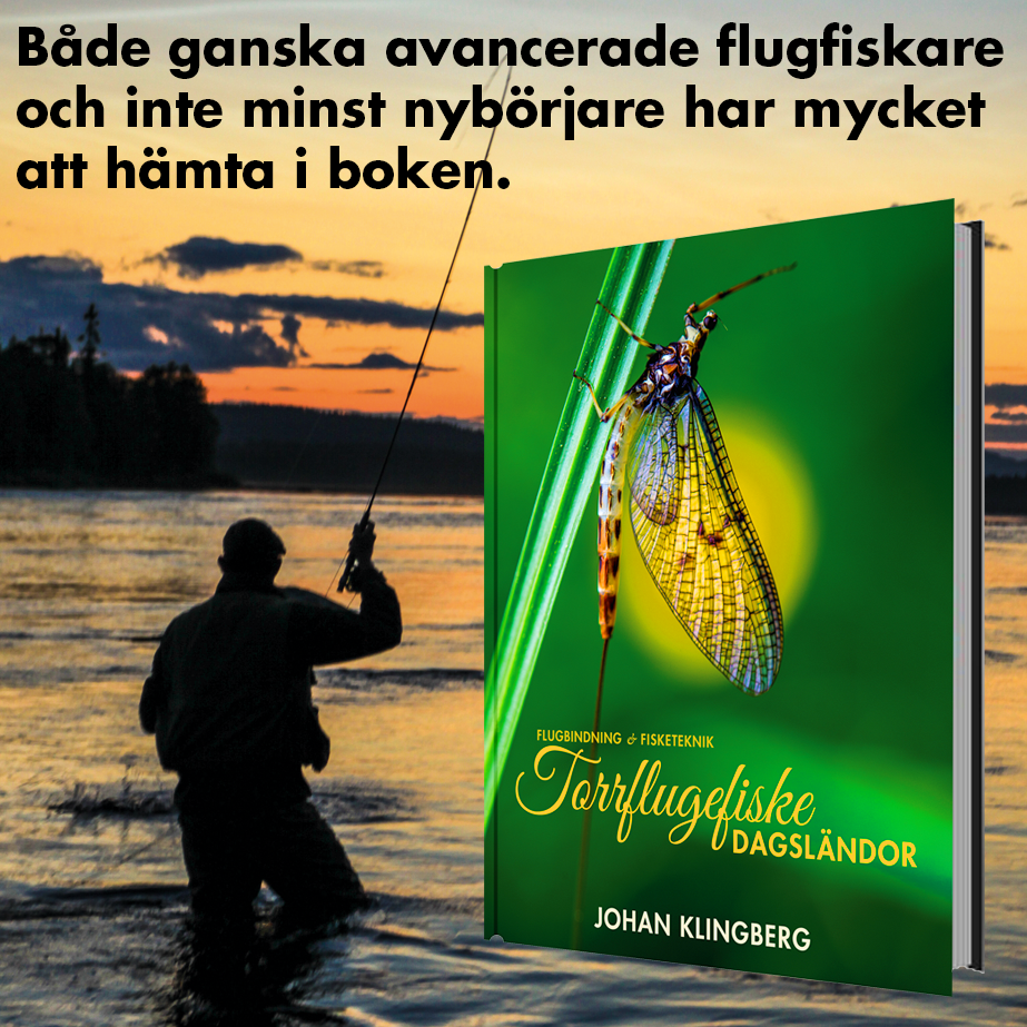 Torrflugefiske – Dagsländor